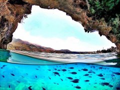 Grotta Azzurra pesci - Isola Dino