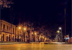 Viale di notte