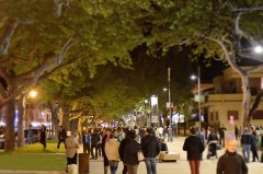 Viale